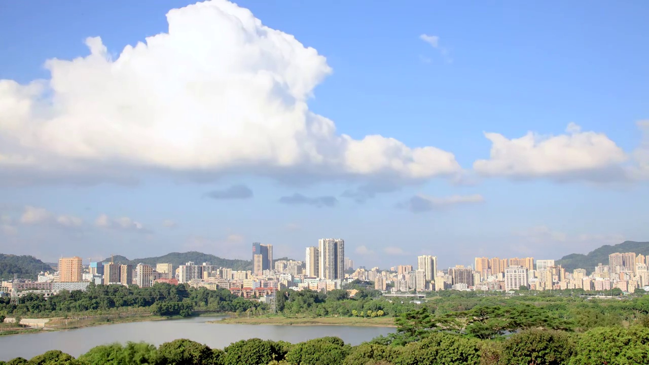 深圳石岩湖湿地公园视频素材