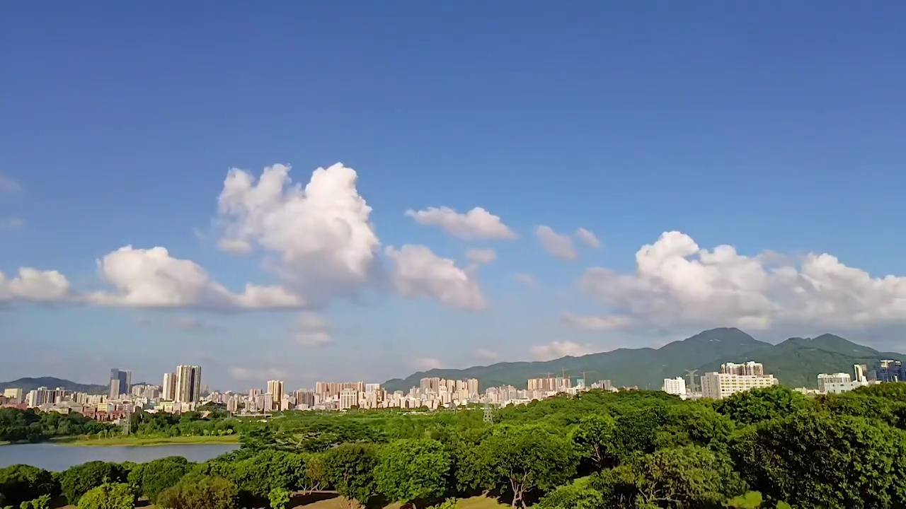 深圳石岩湖湿地公园视频素材