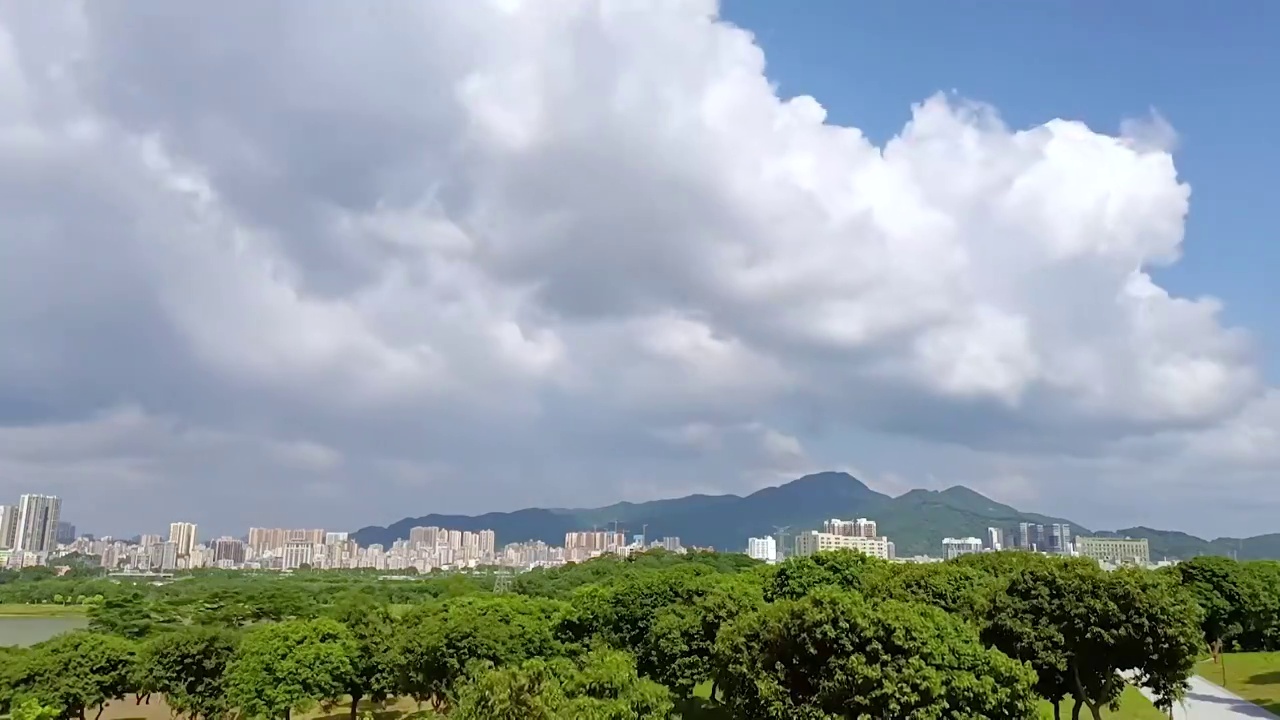 深圳石岩湖湿地公园视频素材