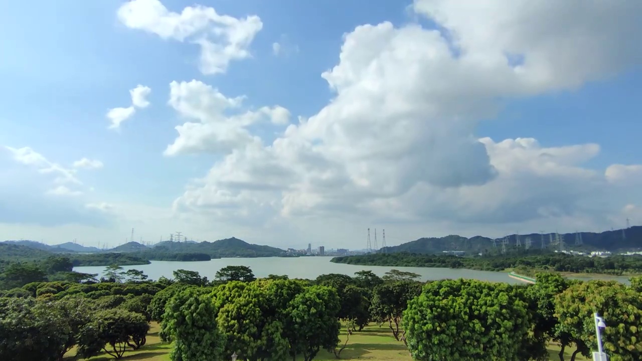 深圳石岩湖湿地公园视频素材