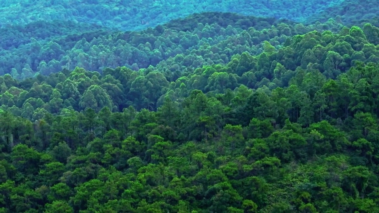 佛山南海西樵西岸南海湾森林公园视频素材