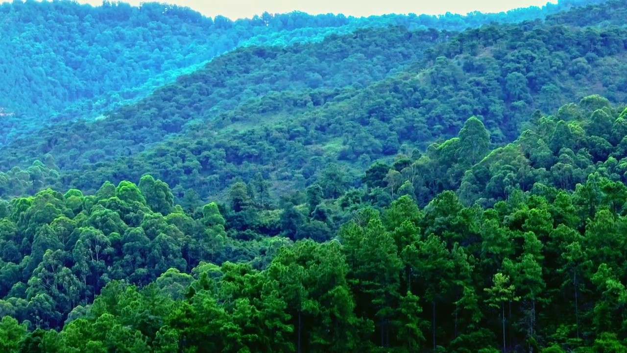 佛山南海西樵西岸南海湾森林公园视频素材