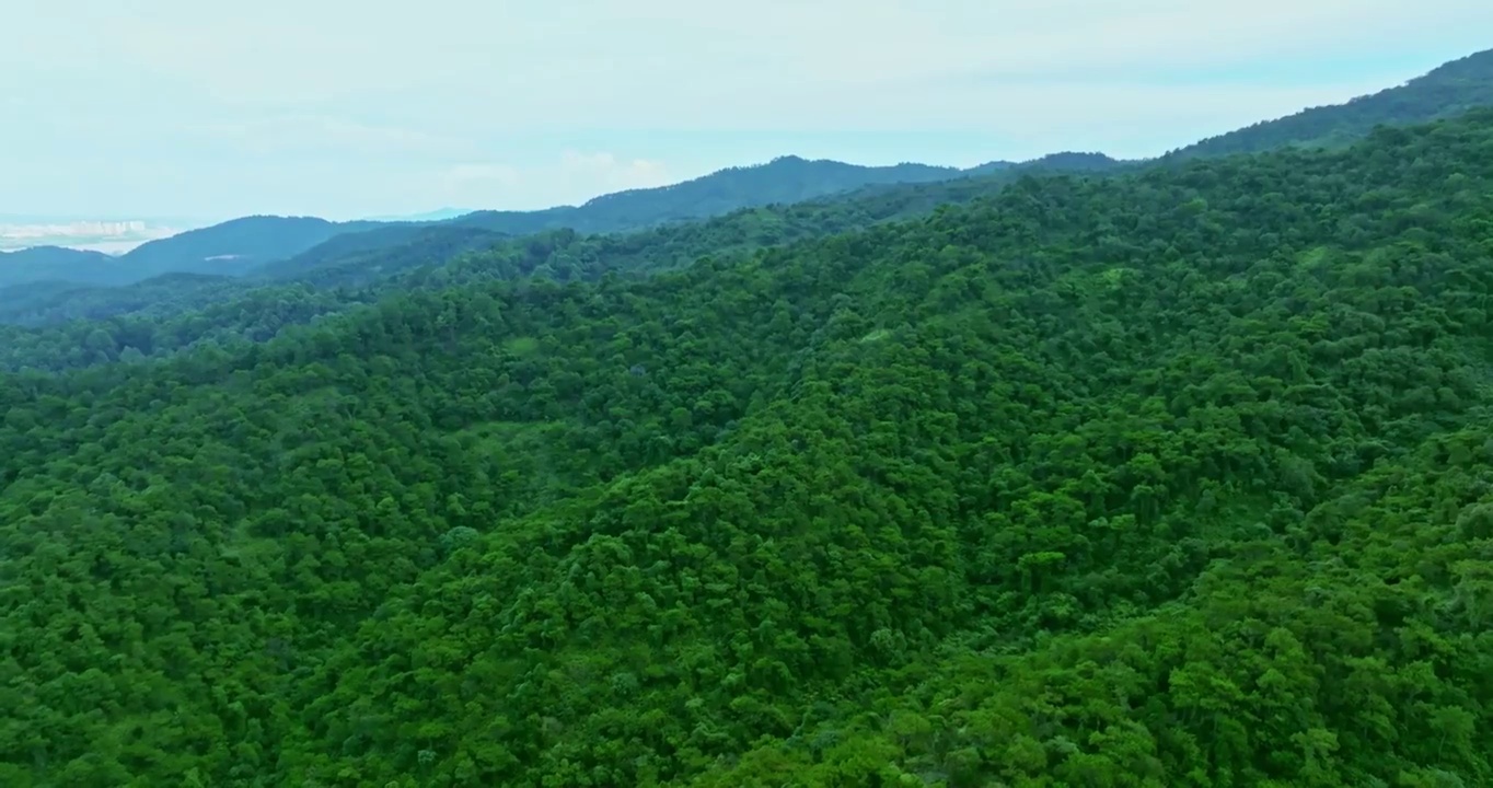 佛山南海西樵西岸南海湾森林公园视频素材