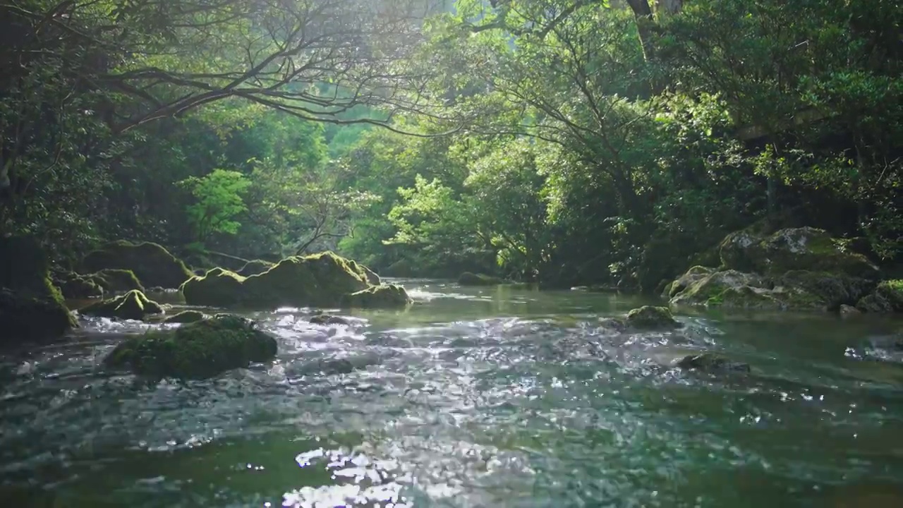 河流小溪瀑布视频素材