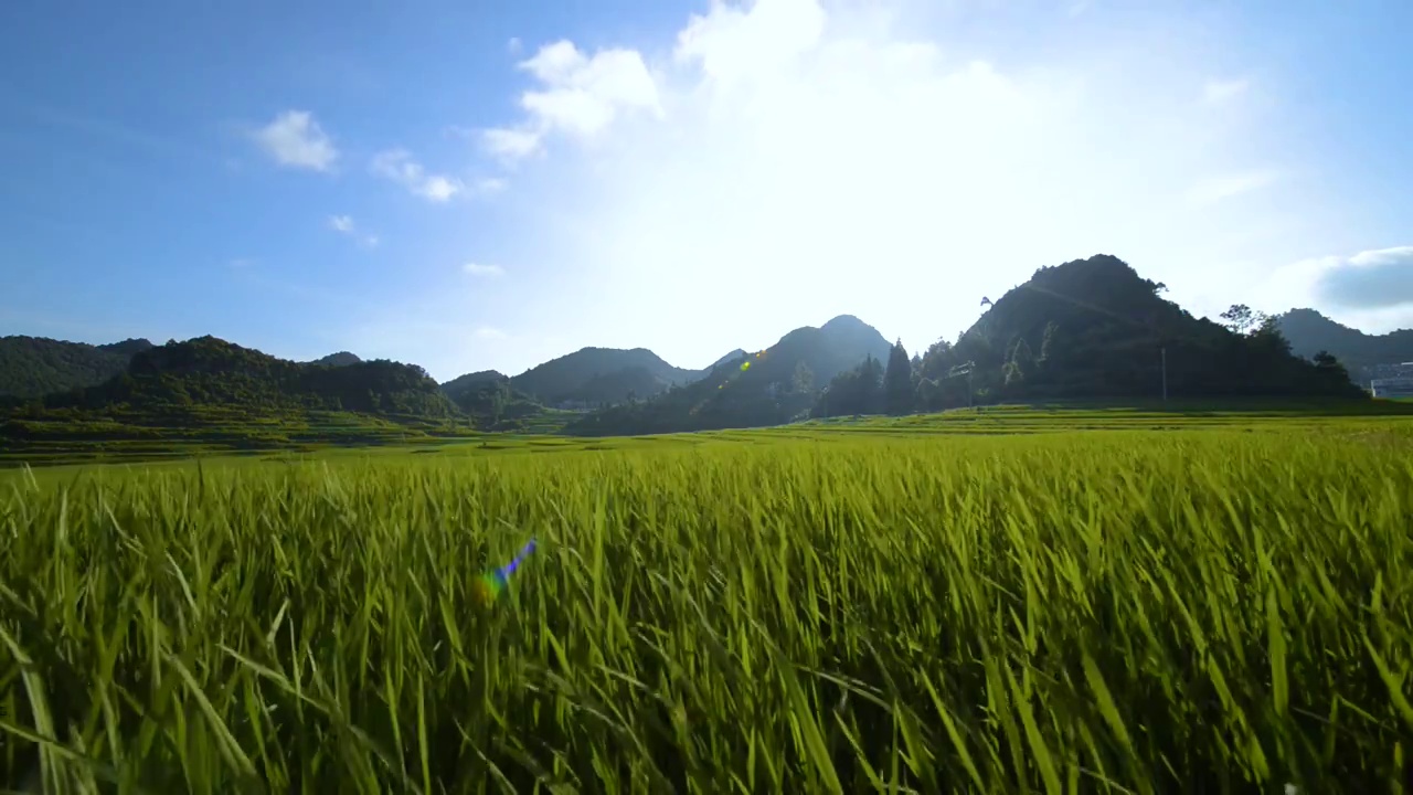 山间梯田日出美景视频素材