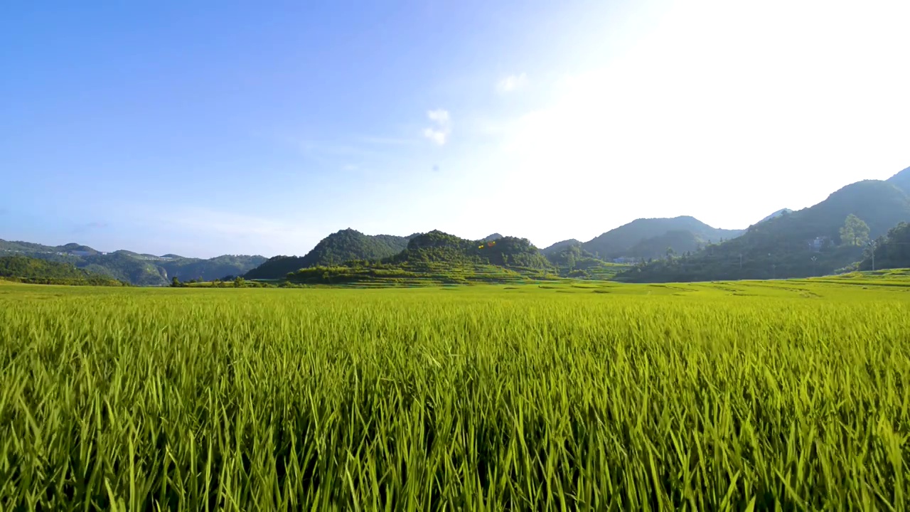 山间梯田日出美景视频素材