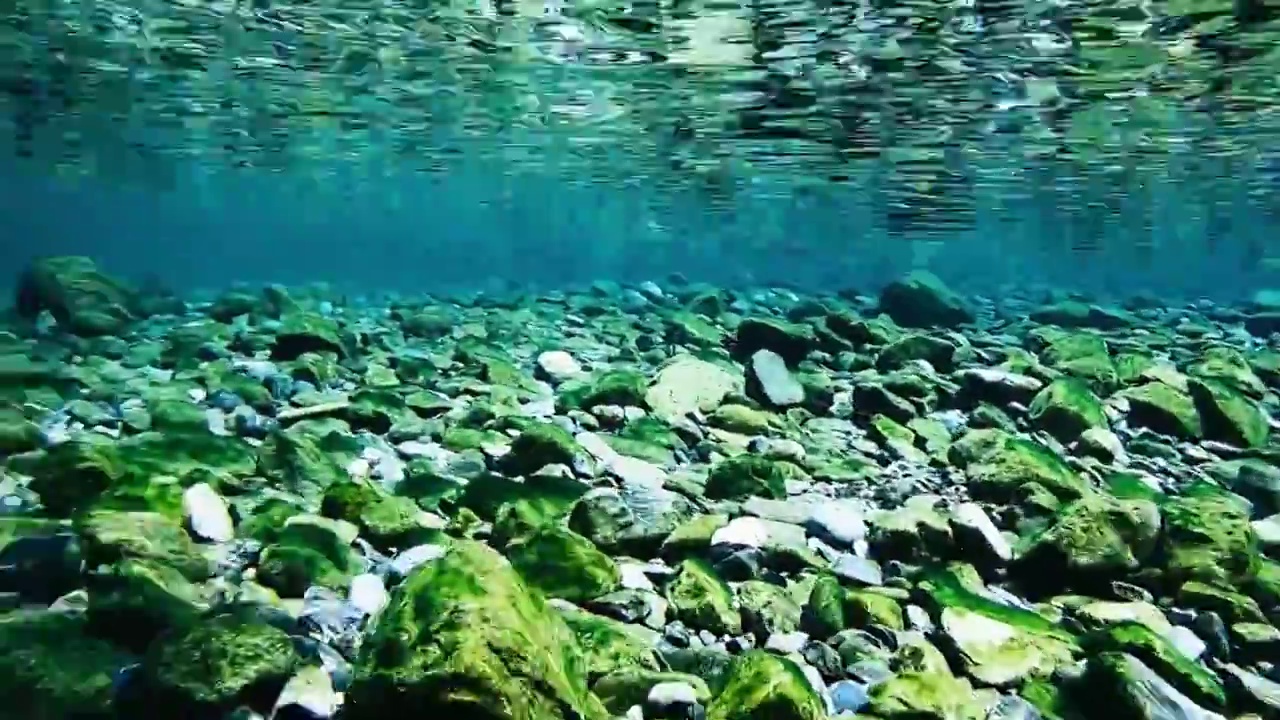 自然峡谷森林河流视频素材