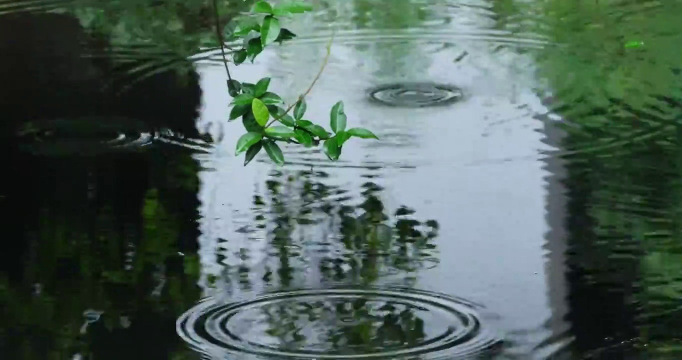 江南雨季庭院雨滴空镜视频素材