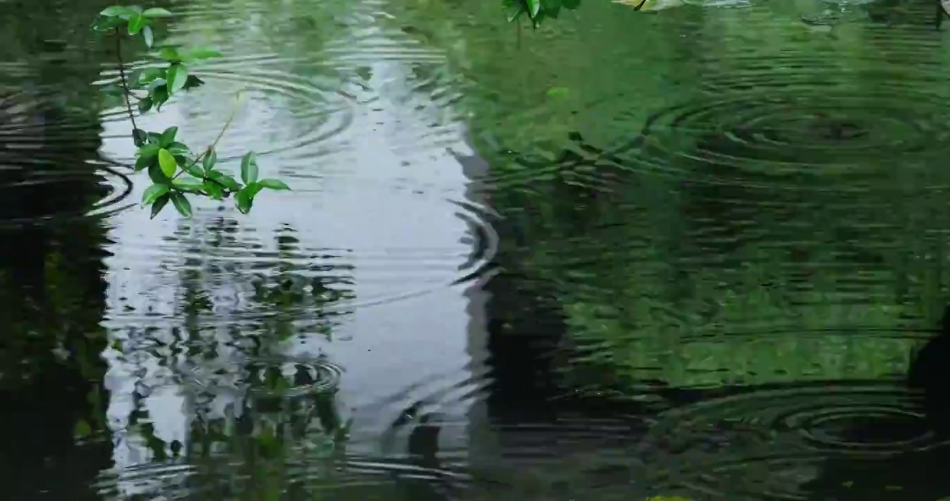 江南雨季庭院雨滴空镜视频素材