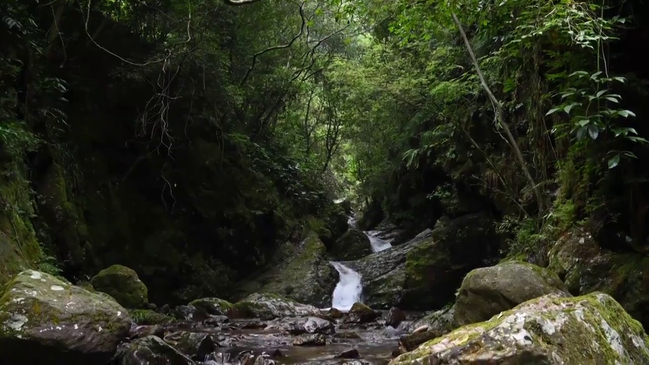 阳光下桂林大山森林里的溪流视频素材