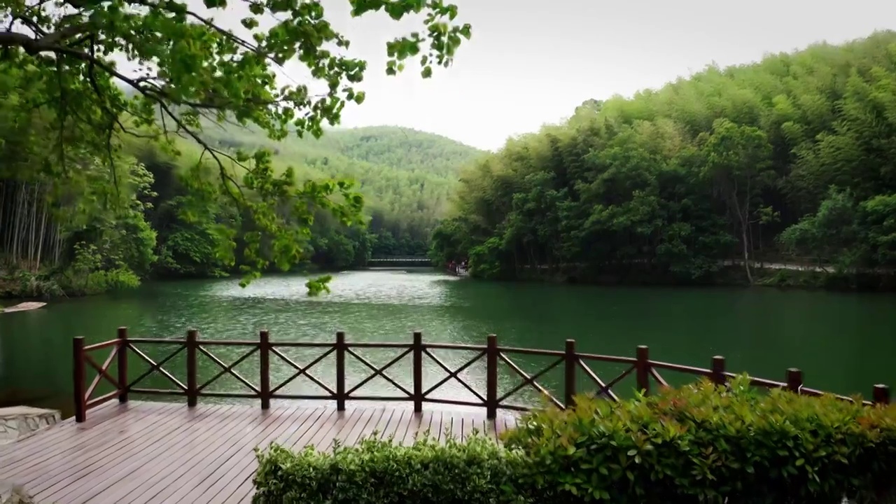 南京石塘竹海风景区航拍视频下载