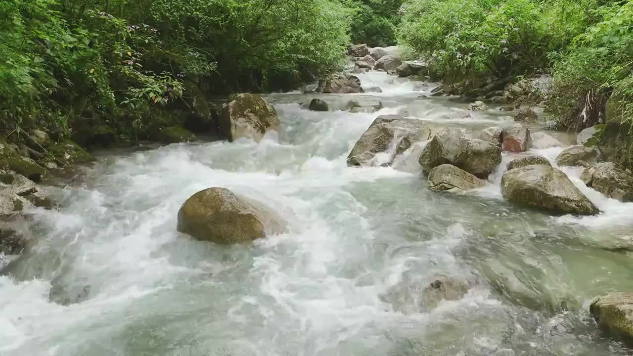 崇州市九龙沟溪水视频素材