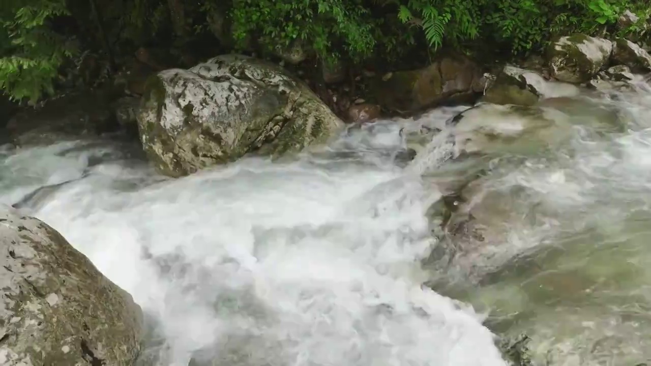 崇州市九龙沟溪水视频素材