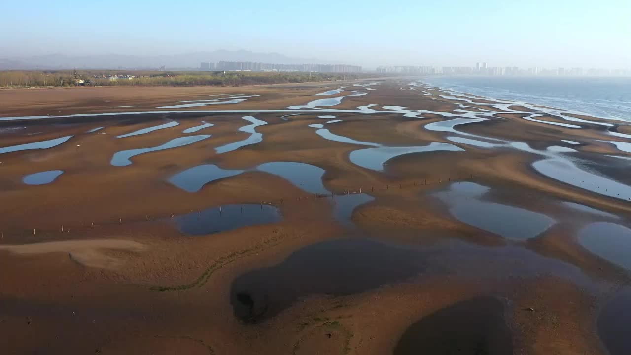 河北省北戴河海滨湿地视频视频素材