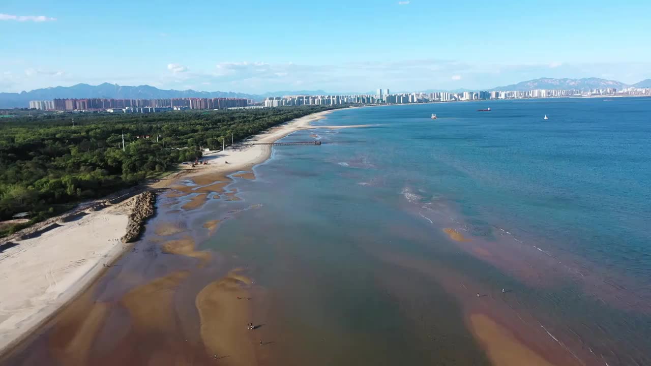 河北省北戴河海滨湿地视频视频素材