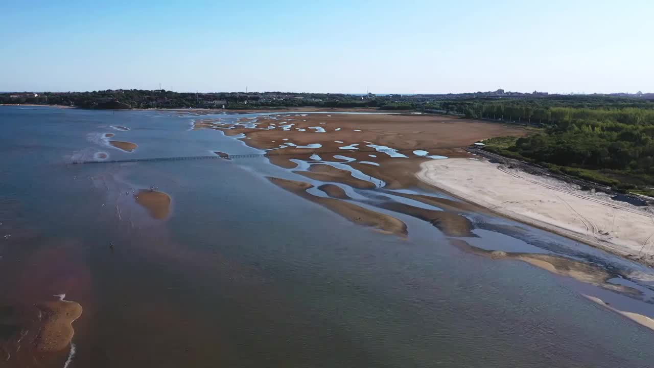 河北省北戴河海滨湿地视频视频素材