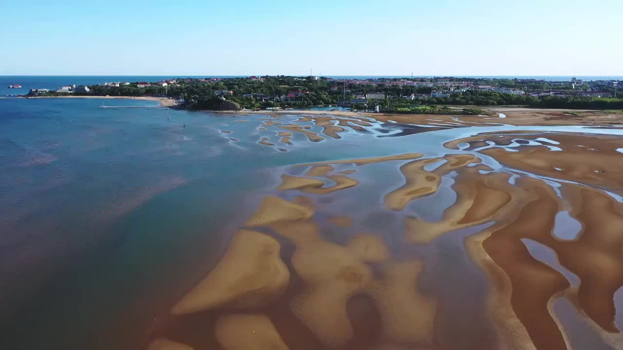 河北省北戴河海滨湿地视频视频素材