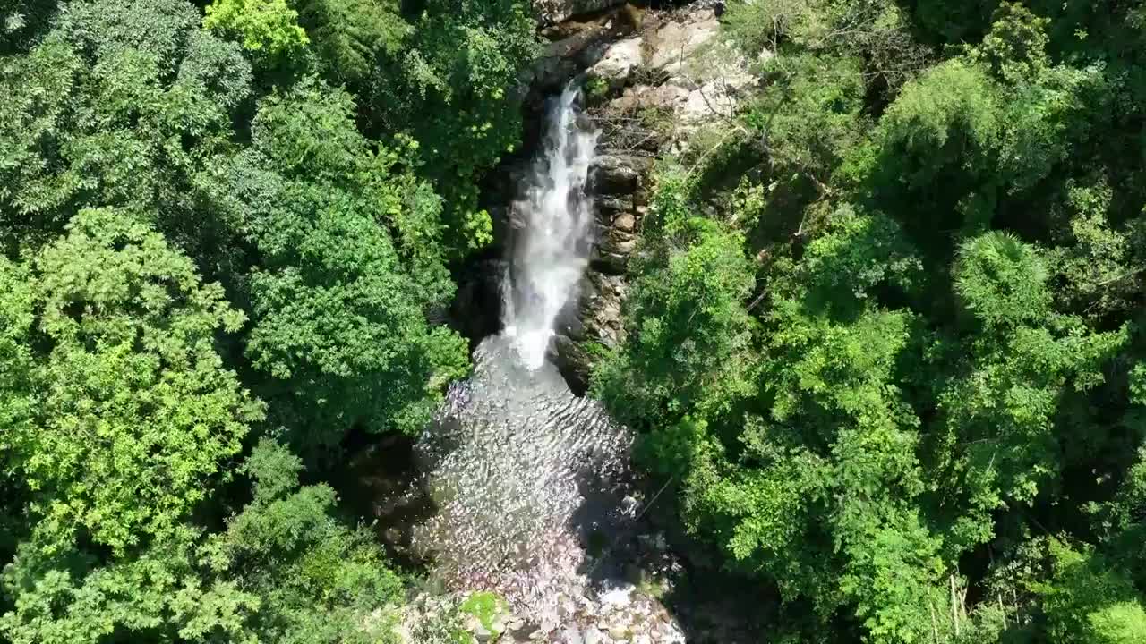 夏季阳光下桂林大山里的森林瀑布视频素材