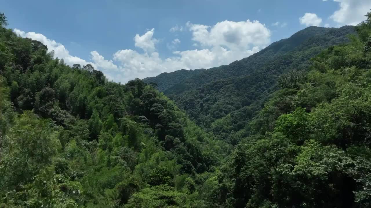 夏季蓝天白云桂林大山深处的茂密森林视频素材