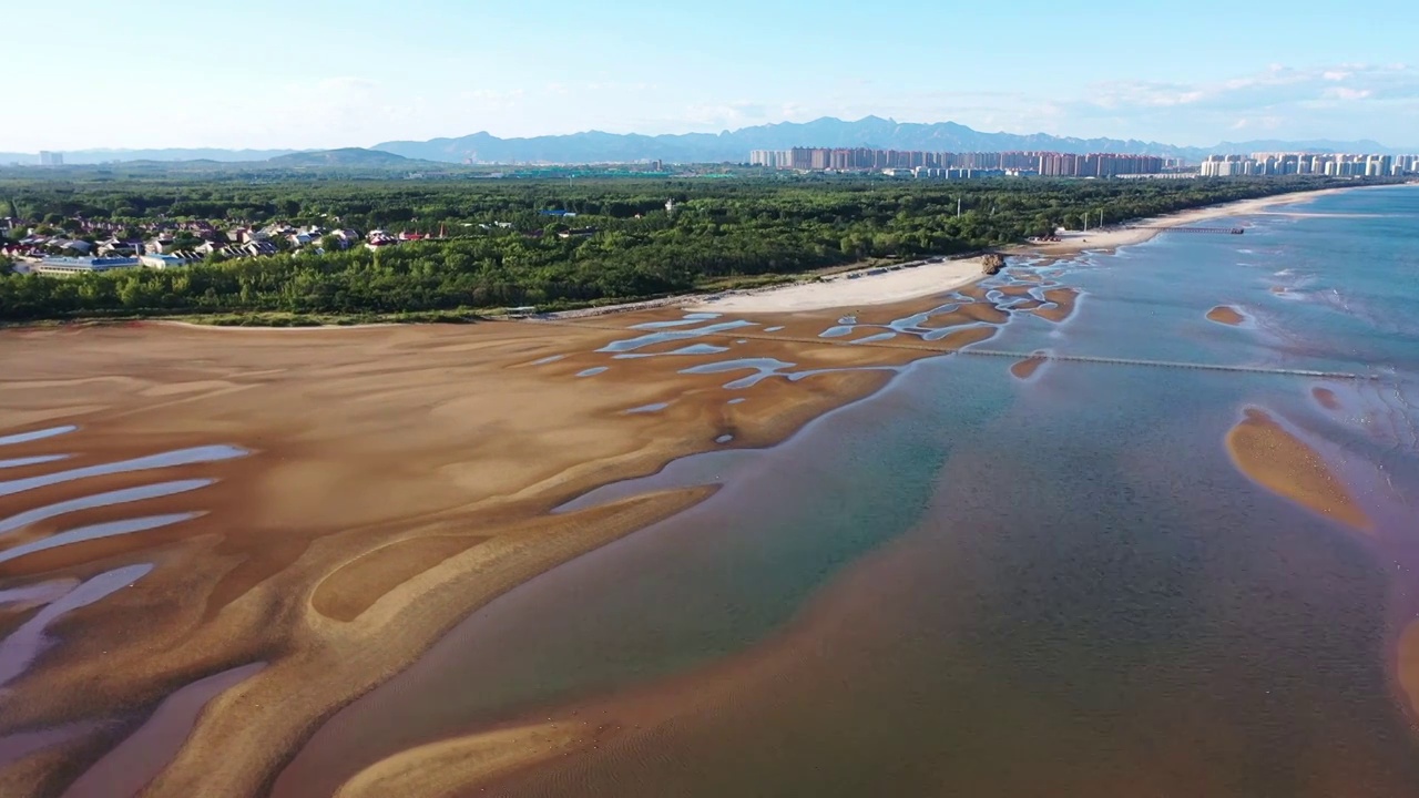 河北省秦皇岛北戴河海滨湿地视频视频素材