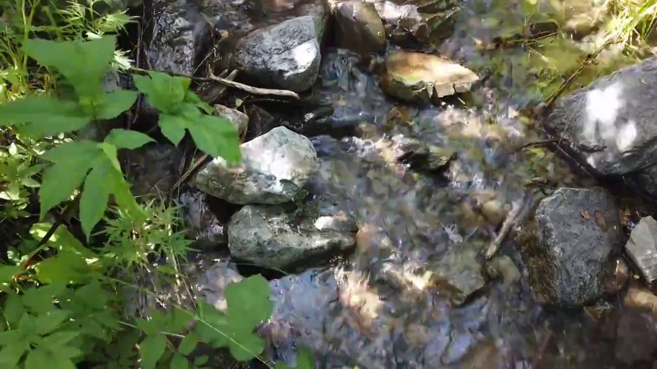 北京门头沟灵山风景区东灵山山谷溪流美景大自然视频素材