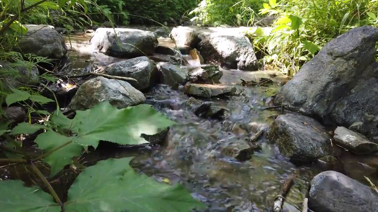 北京门头沟灵山风景区东灵山山谷溪流美景大自然视频素材