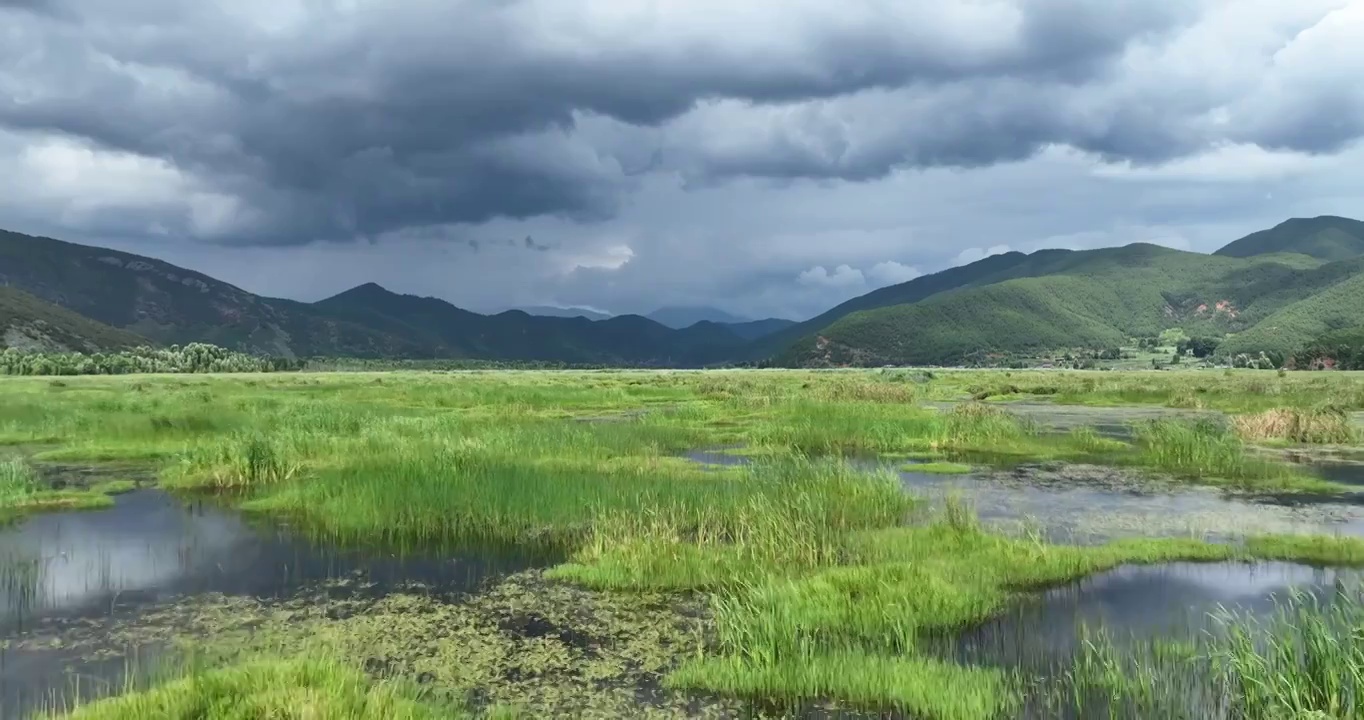 泸沽湖草海生态风光航拍视频素材