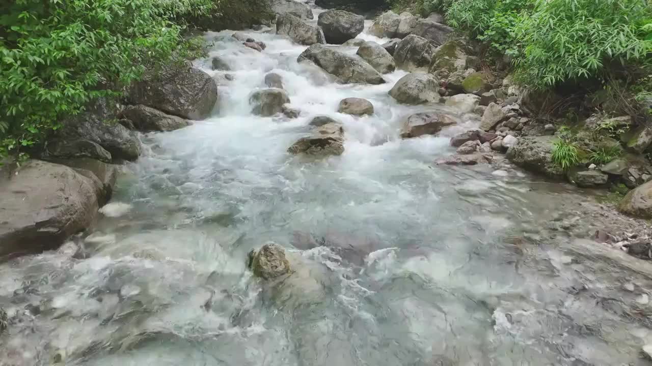 大山深处清澈溪流视频素材