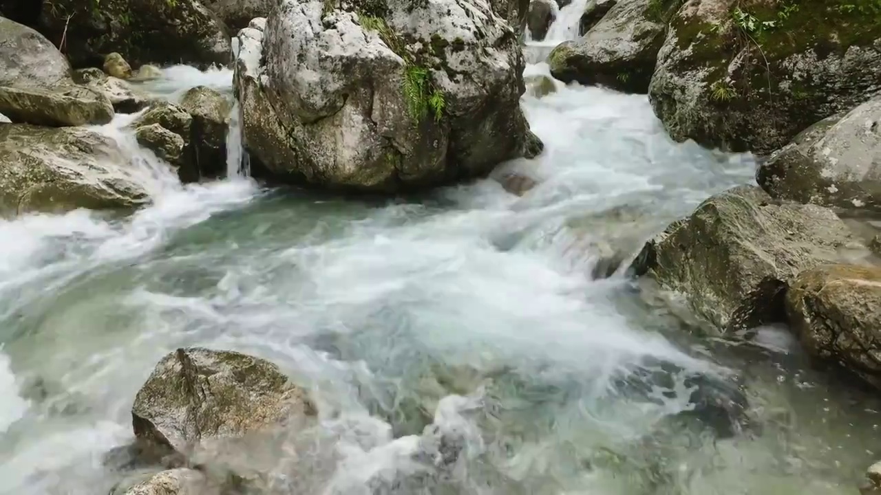 大山深处清澈溪流视频素材