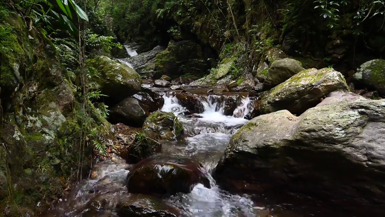 夏季桂林山区峡谷里的溪流视频素材