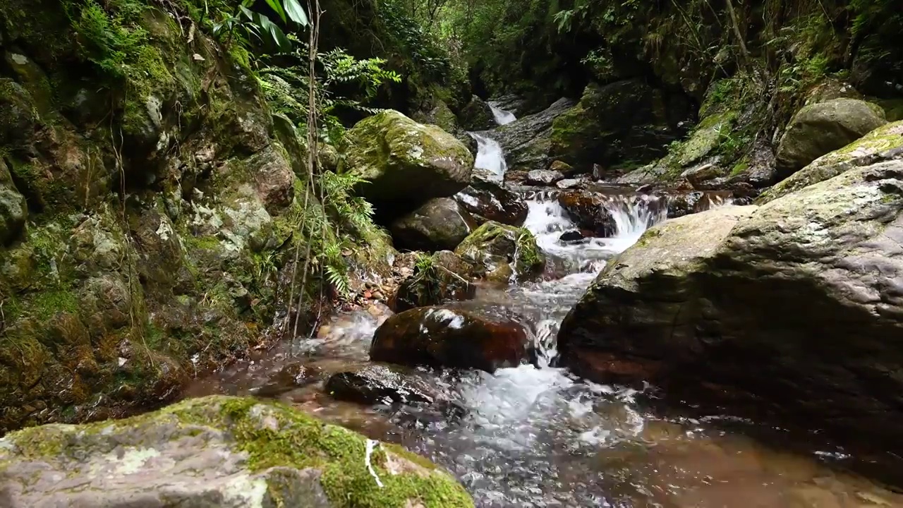 夏季桂林山区峡谷里的溪流视频素材