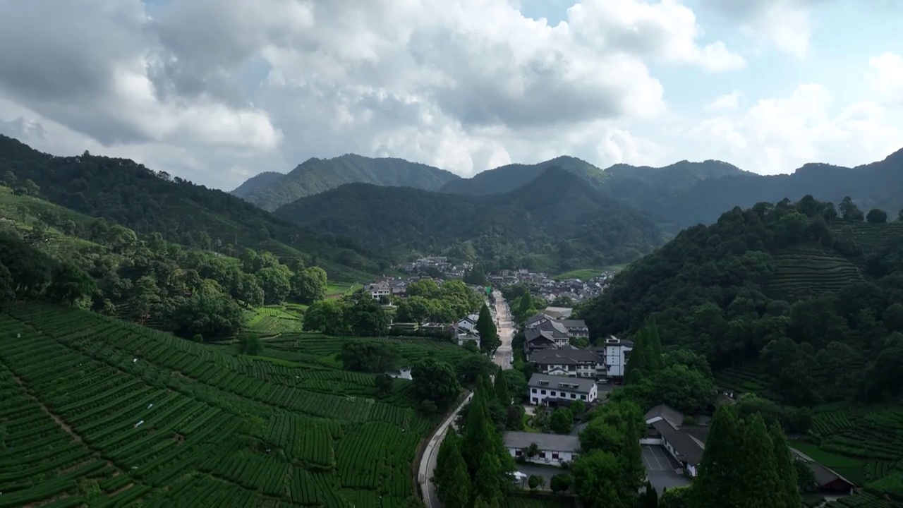 杭州梅家坞龙井茶村视频素材