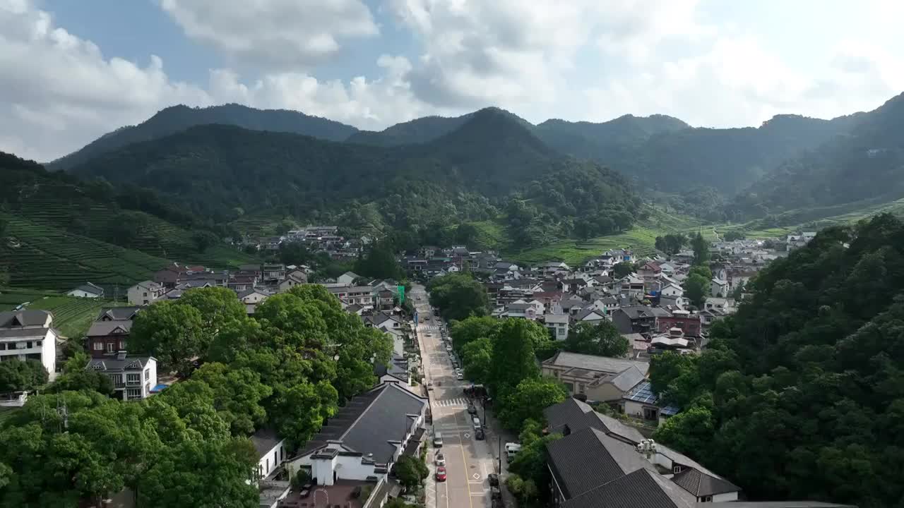 杭州梅家坞龙井茶村视频素材