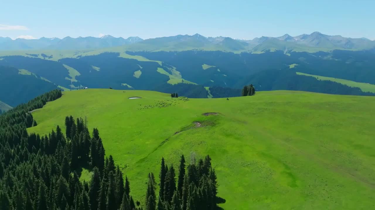 喀拉峻草原风光视频素材