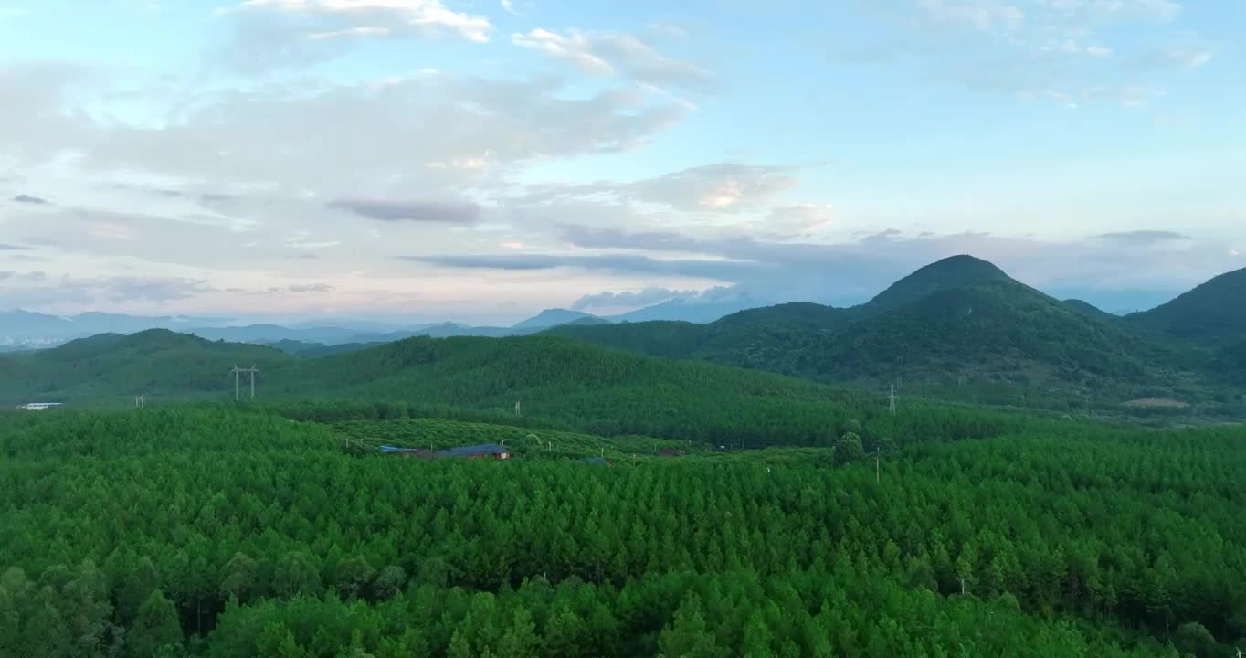 森林 自然  绿色 风景 宁静 环境 生态 环保 清晰视频素材