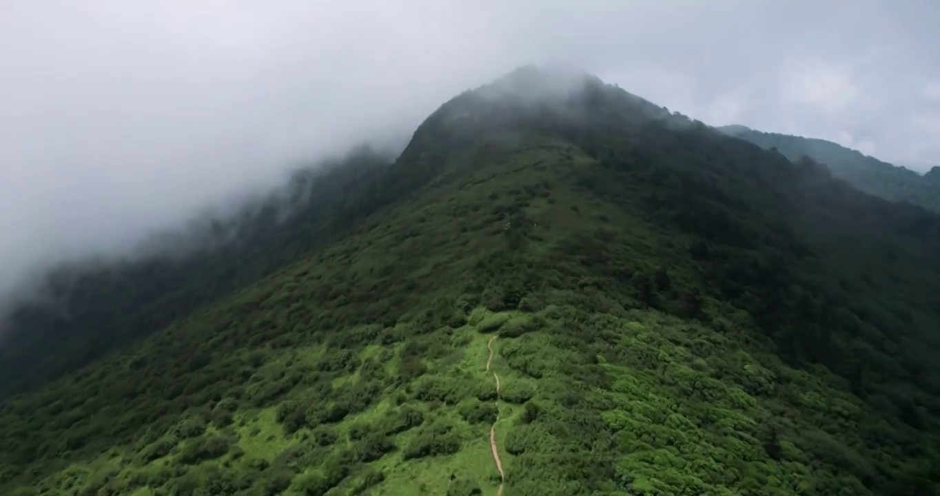 陕西西安秦岭分水岭高山草甸云海视频素材