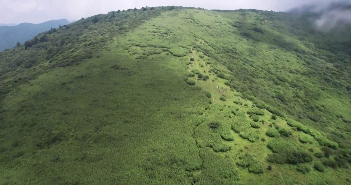 陕西西安秦岭分水岭高山草甸云海视频素材