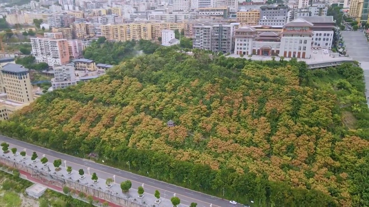 【原创】航拍初秋的峡江（合集）视频素材