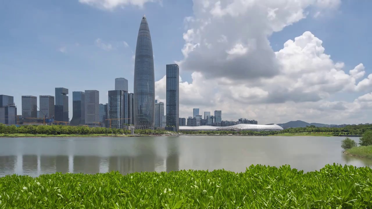 中国深圳市深圳城市风光深圳湾白天风景视频素材