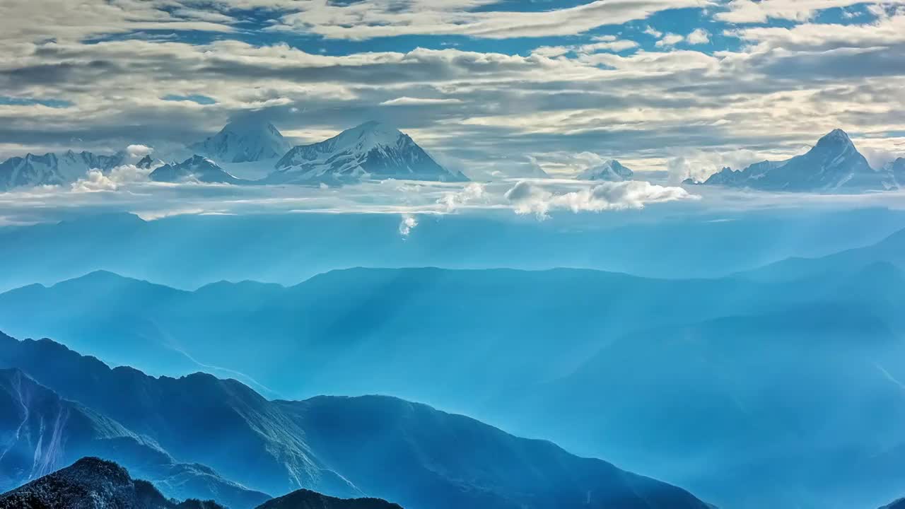 空谷幽兰视频素材