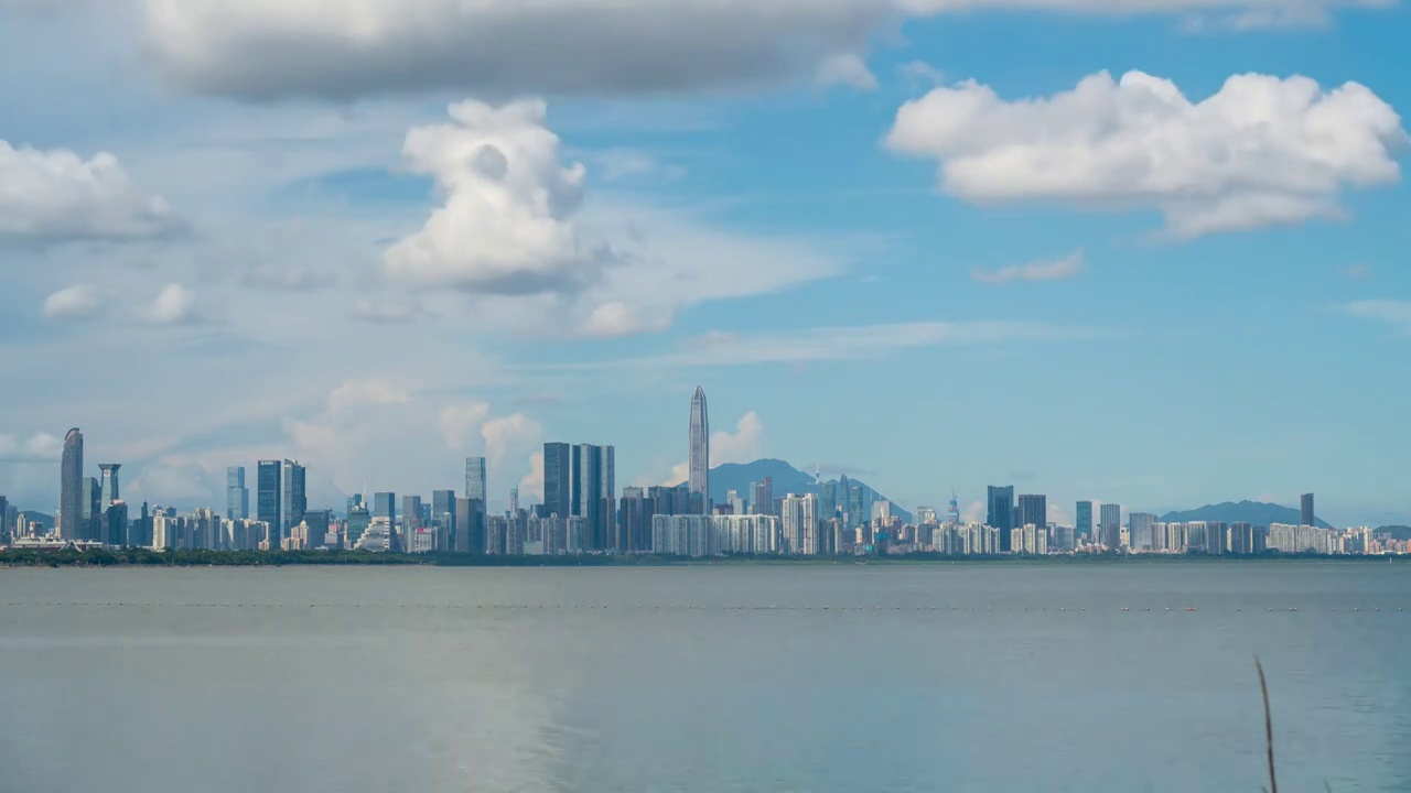 中国深圳市深圳城市风光深圳湾白天风景视频素材