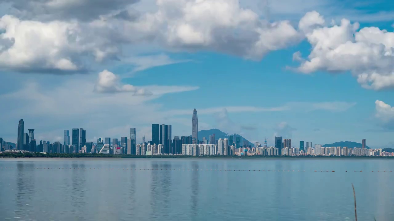 中国深圳市深圳城市风光深圳湾白天风景视频素材