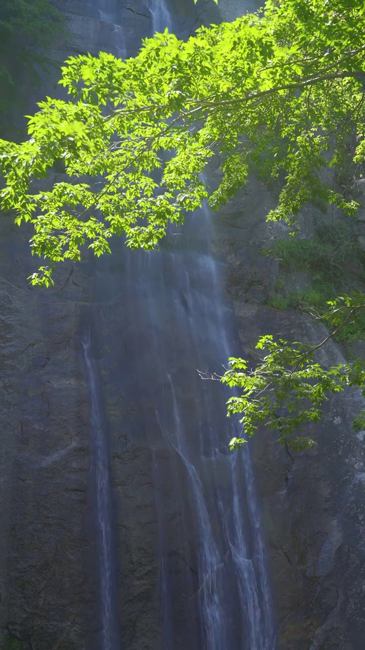 秦岭太白山红河谷森林公园斗姆瀑布视频素材