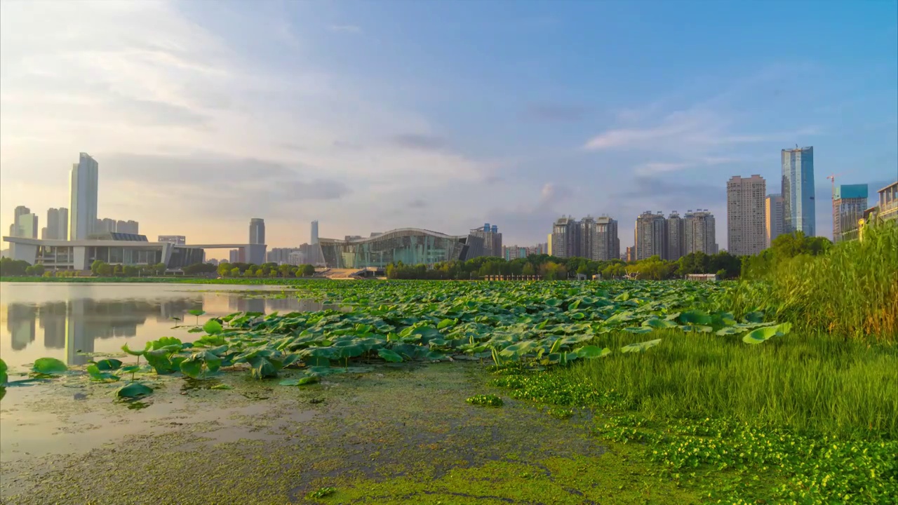 武汉夏日城市天际线航拍风光视频素材