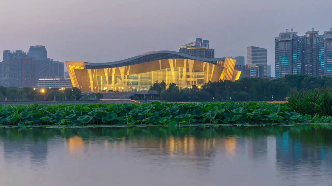 武汉夏日城市天际线夜景风光视频素材