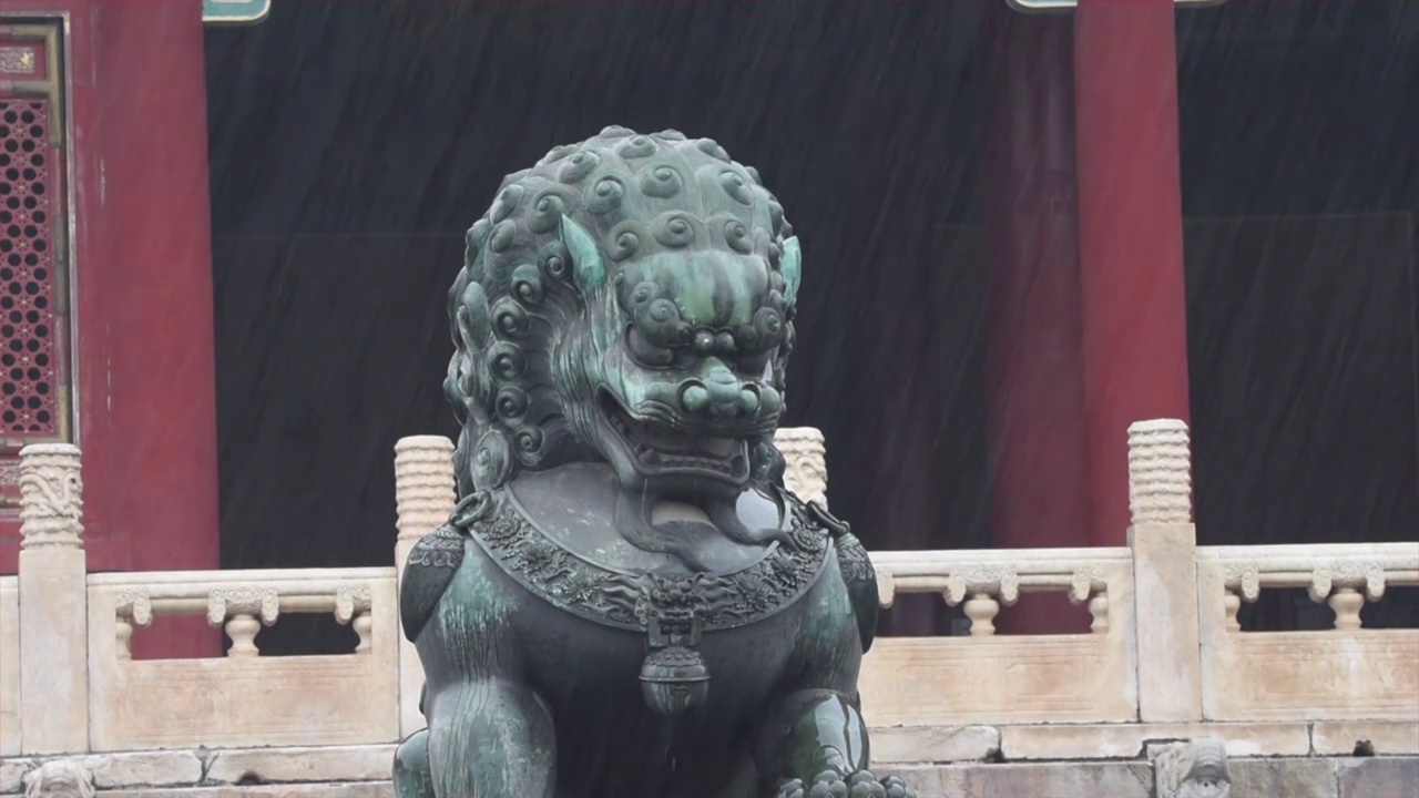 大雨中的故宫太和门前的铜狮视频素材