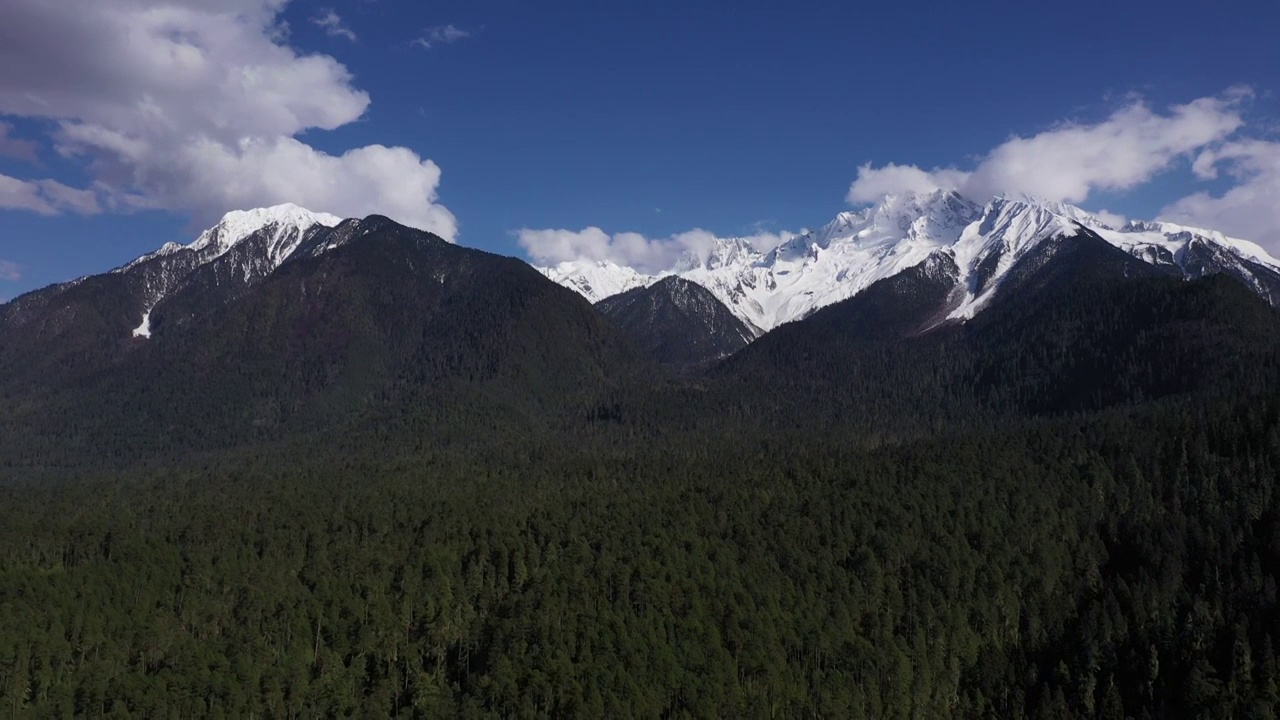 雪山下的森林视频素材