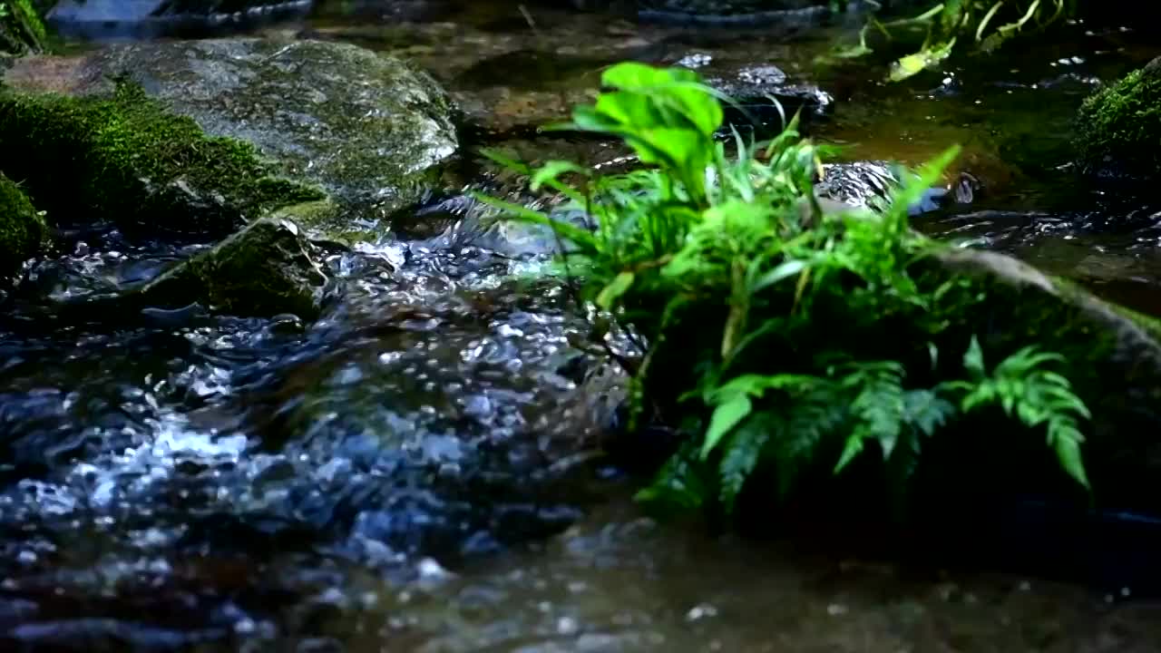 小溪流水视频素材