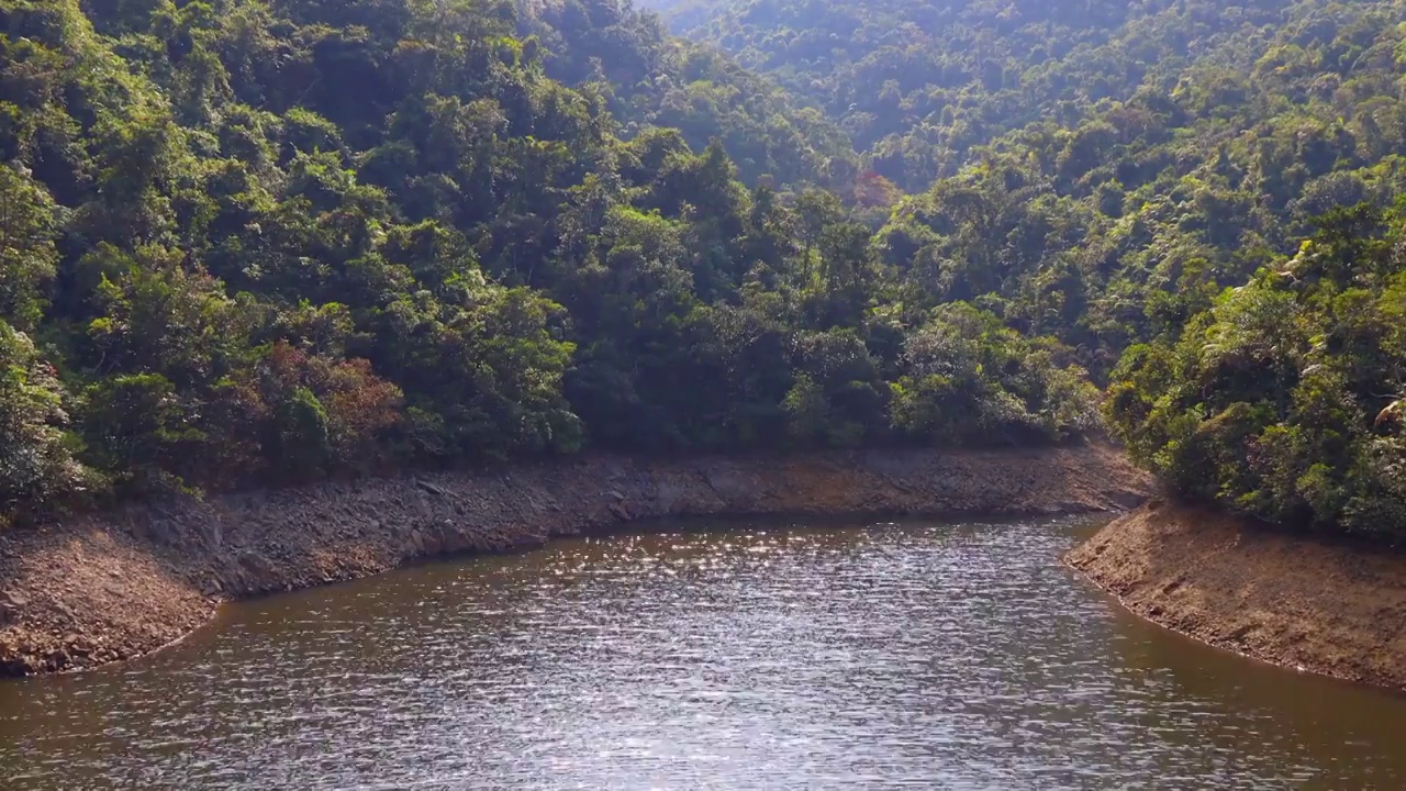 大潭水库 池塘 湖水 郊野公园视频素材