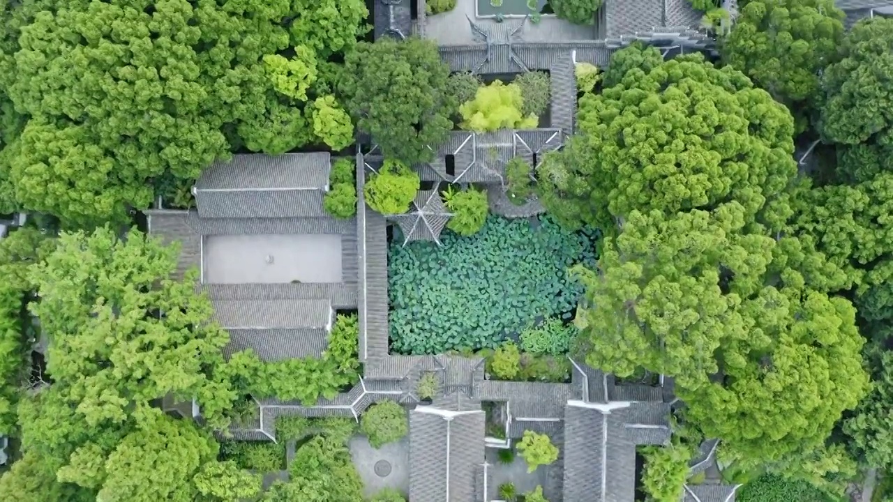 航拍城市生态环境上海醉白池风景区视频素材